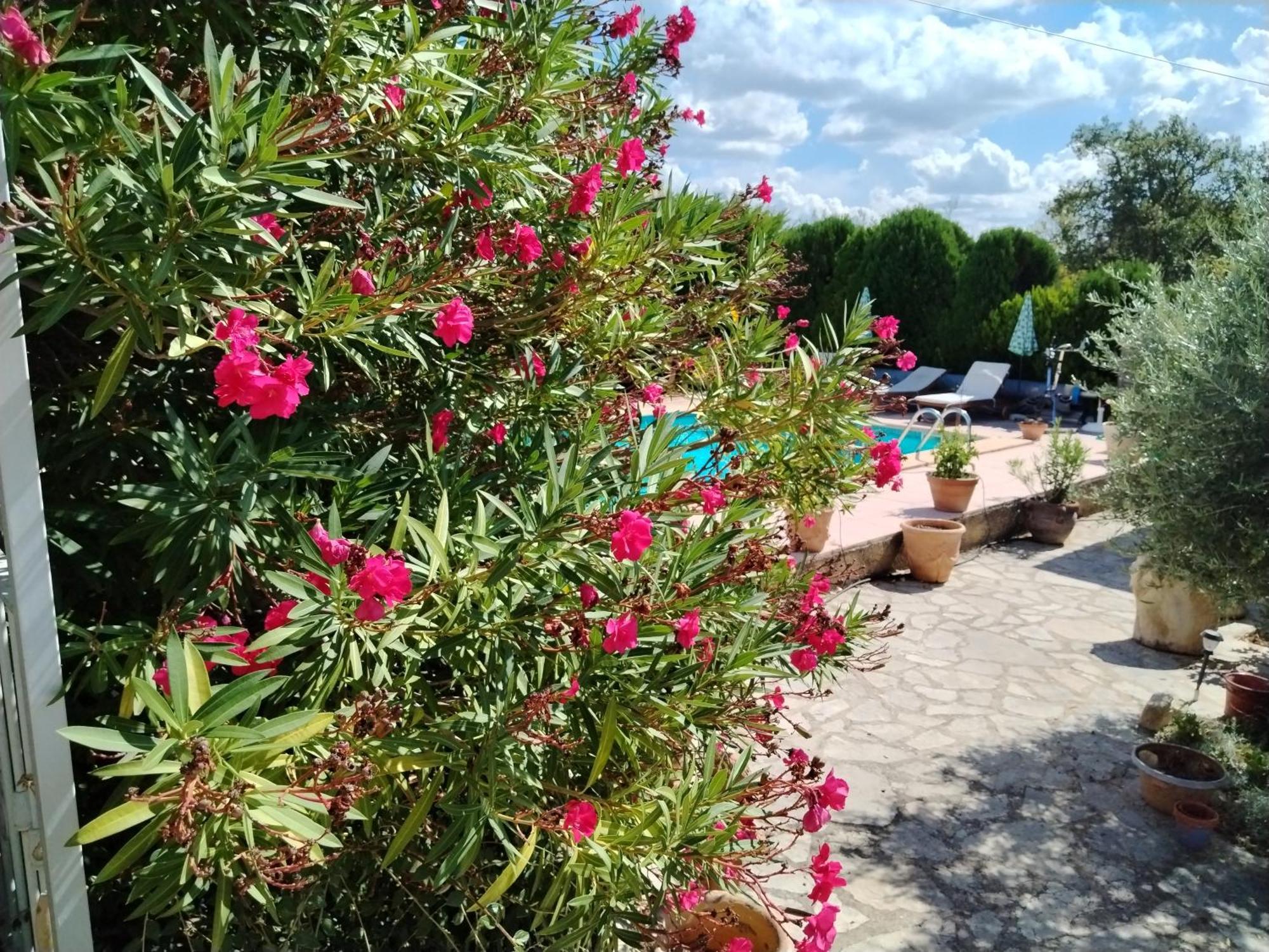 Lou Jasset Hotell Cabrieres-d'Aigues Eksteriør bilde